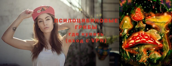 прущие грибы Бородино