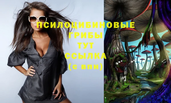 твердый Бронницы