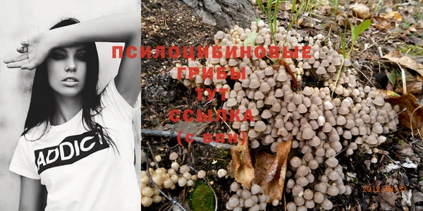 спайс Богородицк
